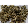 Artemisiae Argyi Folium de qualité supérieure